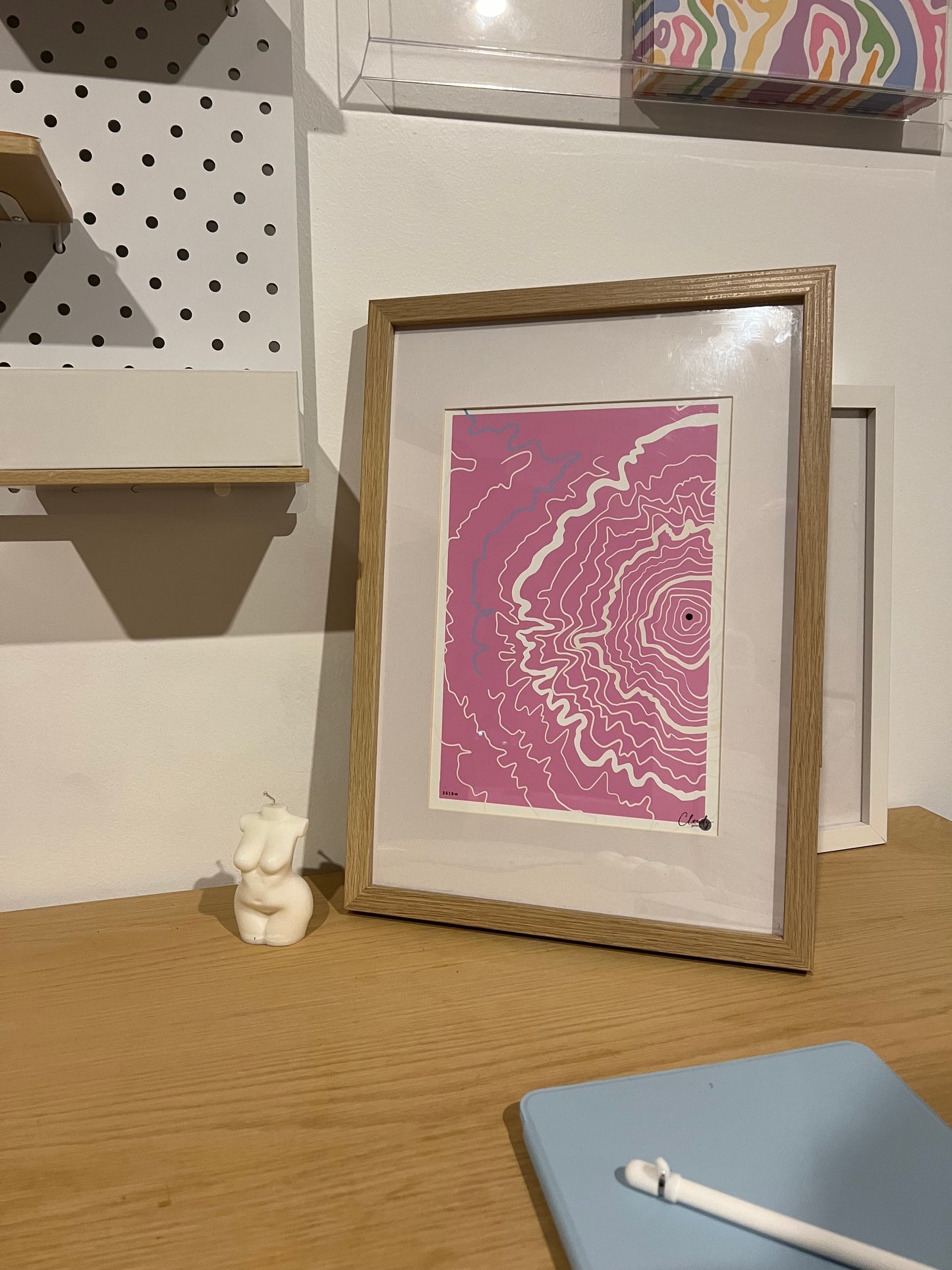 Mt Taranaki Topographical print