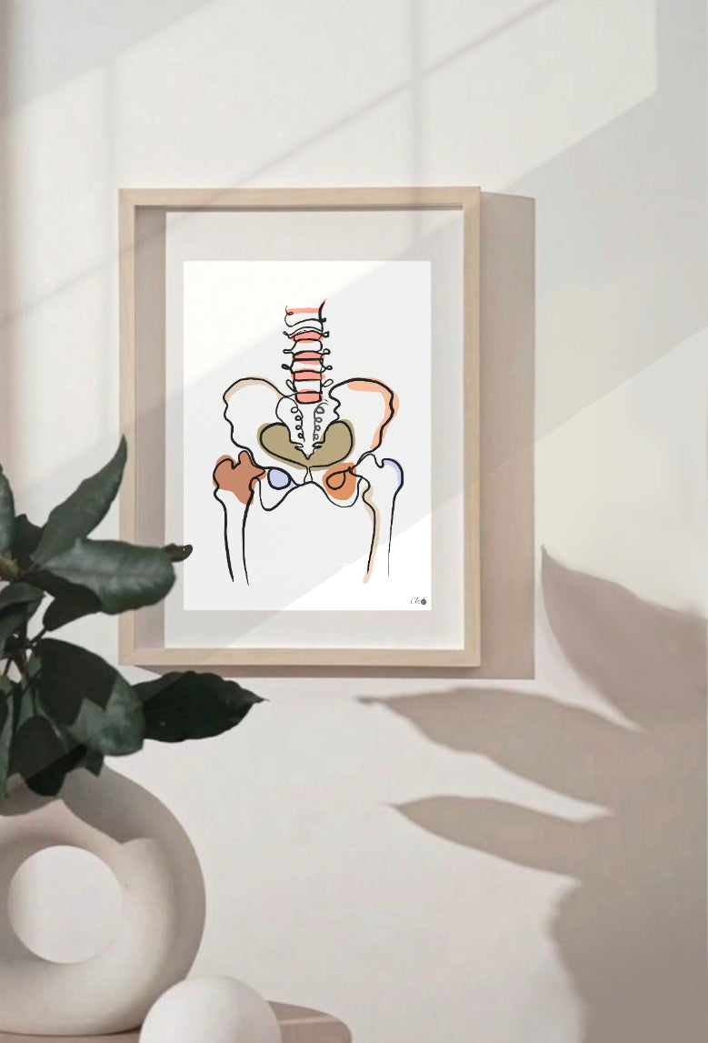 Pelvis Print