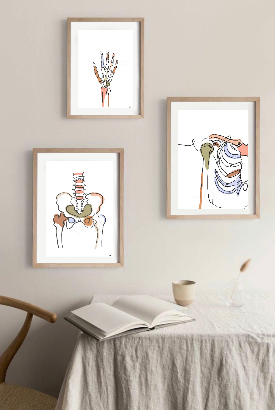 Shoulder Anatomy Illustration - Modern Medical Art Print by NZ Artist | Cloudy Prints