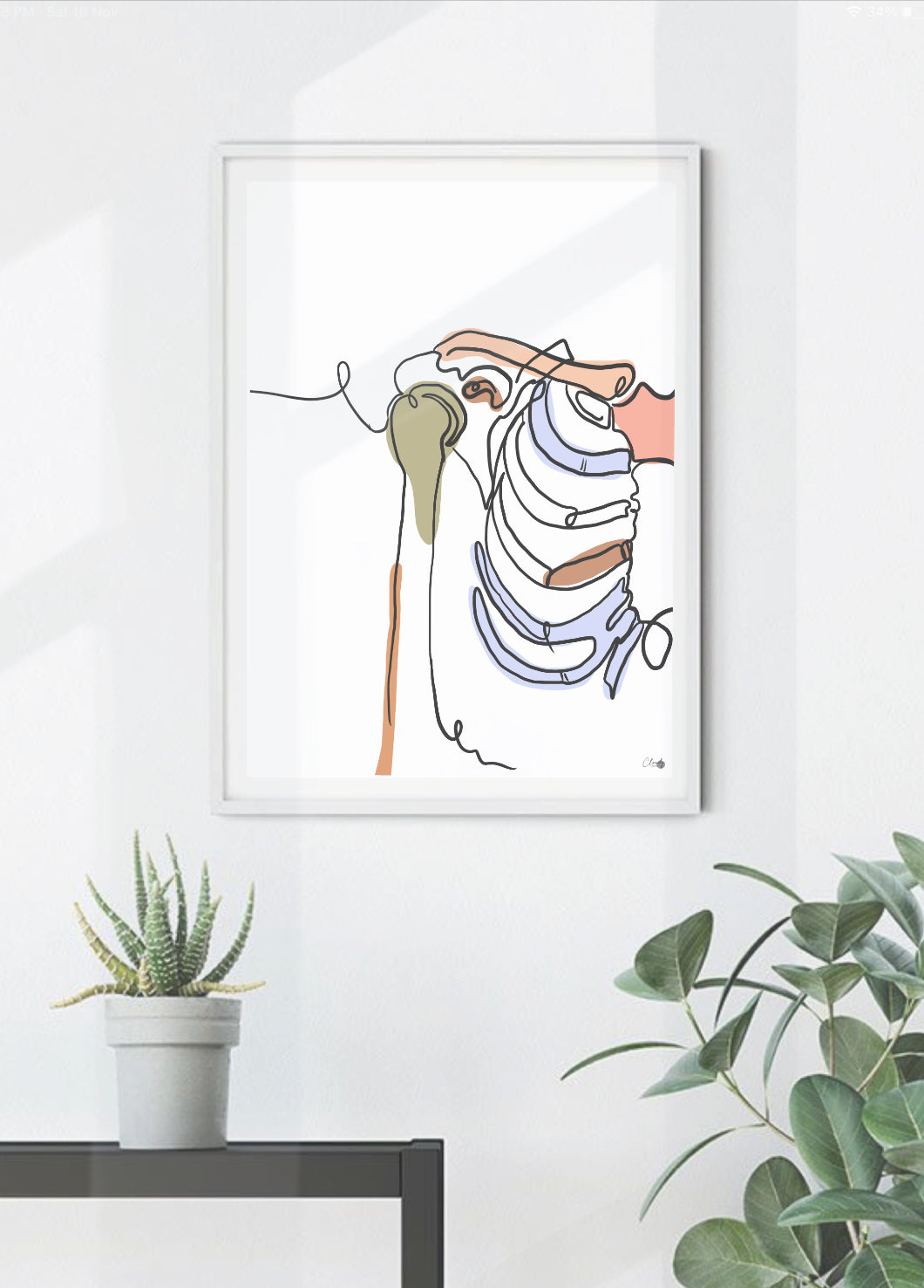 Shoulder Anatomy Illustration - Modern Medical Art Print by NZ Artist | Cloudy Prints