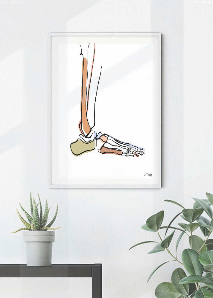 Podiatry Print
